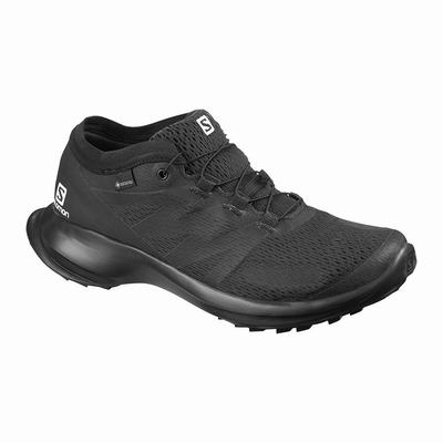 Női Salomon SENSE FLOW GTX W Terepfutó Cipő SA2830195 Fekete